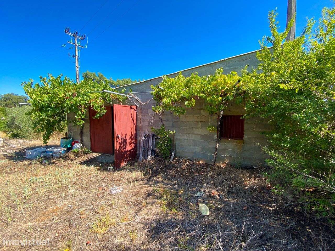 Quinta - Grande imagem: 4/15