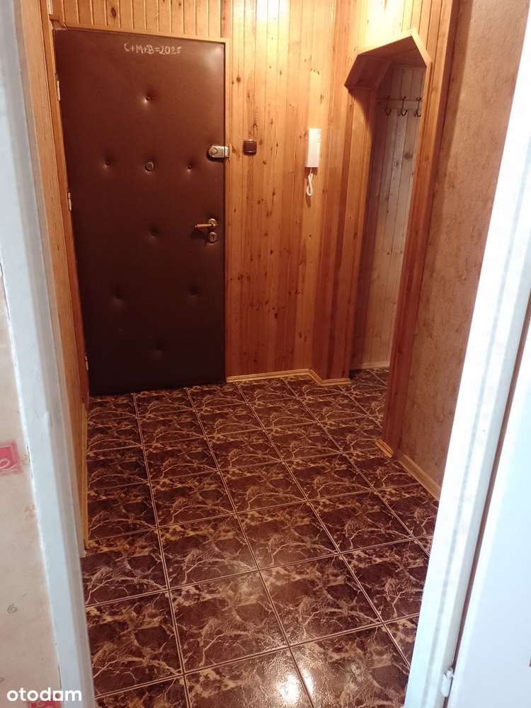 Mieszkanie M3, wspólnota mieszkaniowa, Osiedle Zachód,  od właściciela - Pełny obrazek: 5/11