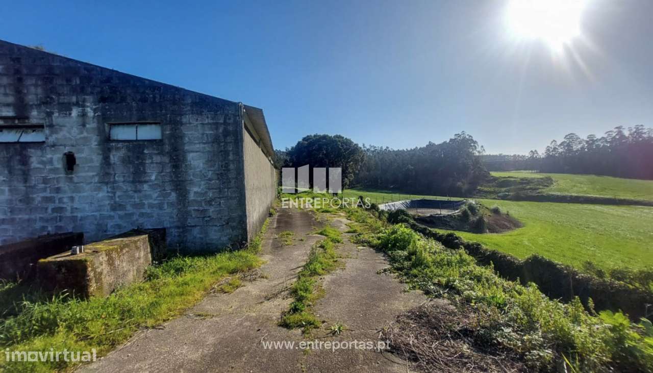 Venda de Terreno com 3695 m2 com benfeitorias, Arcos, Vila do Conde - Grande imagem: 4/22