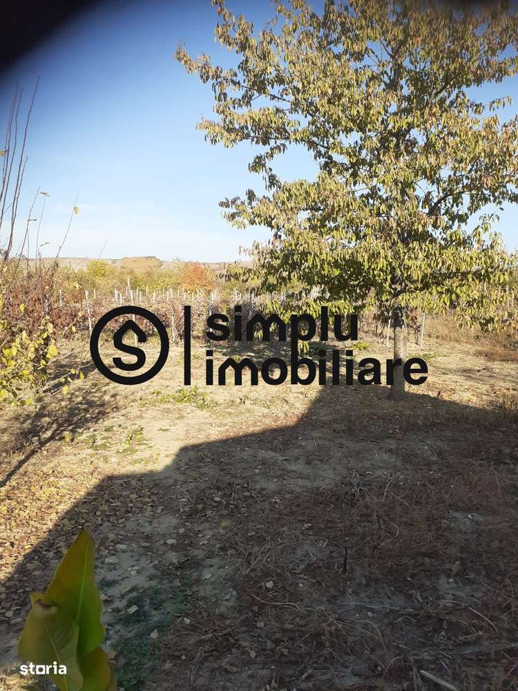 Casa Bradesti, teren 1239 mp - 29 995 Euro - Imagine principală: 2/5