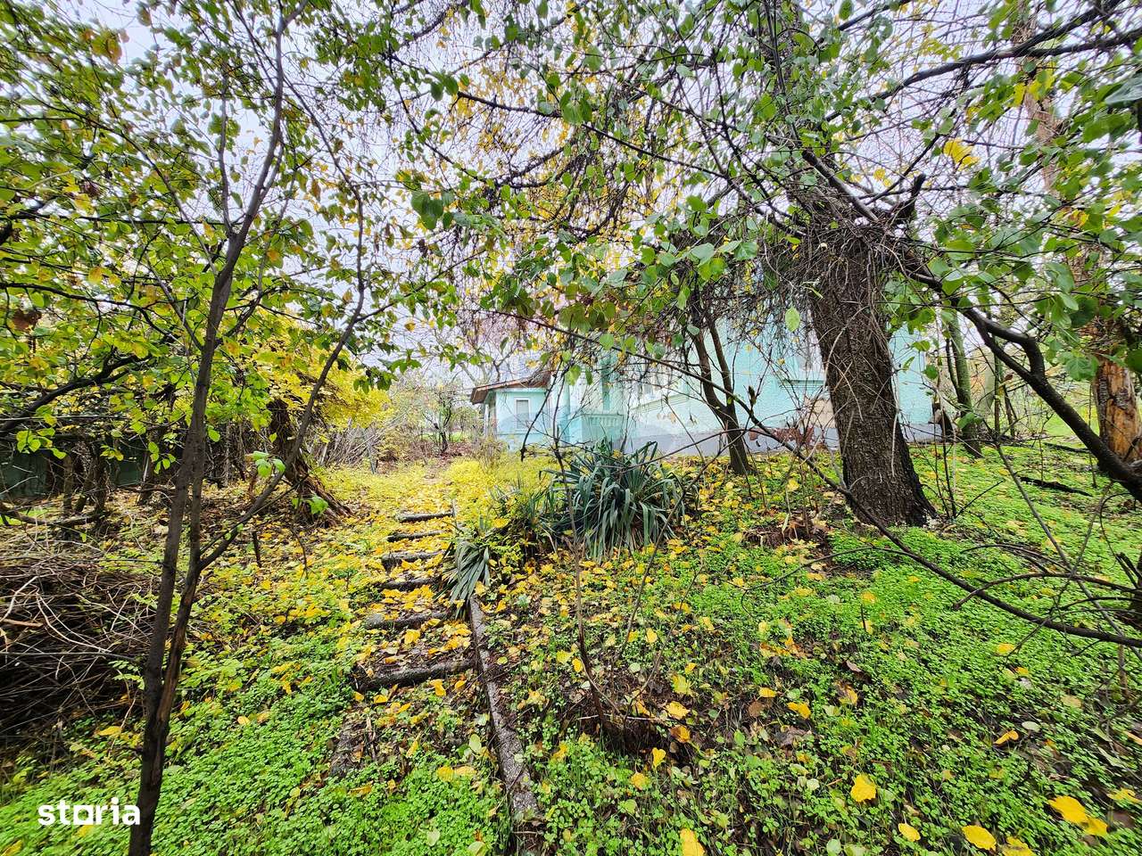 Teren 2200 mp + Casă, sat Frasinu, Giurgiu-3