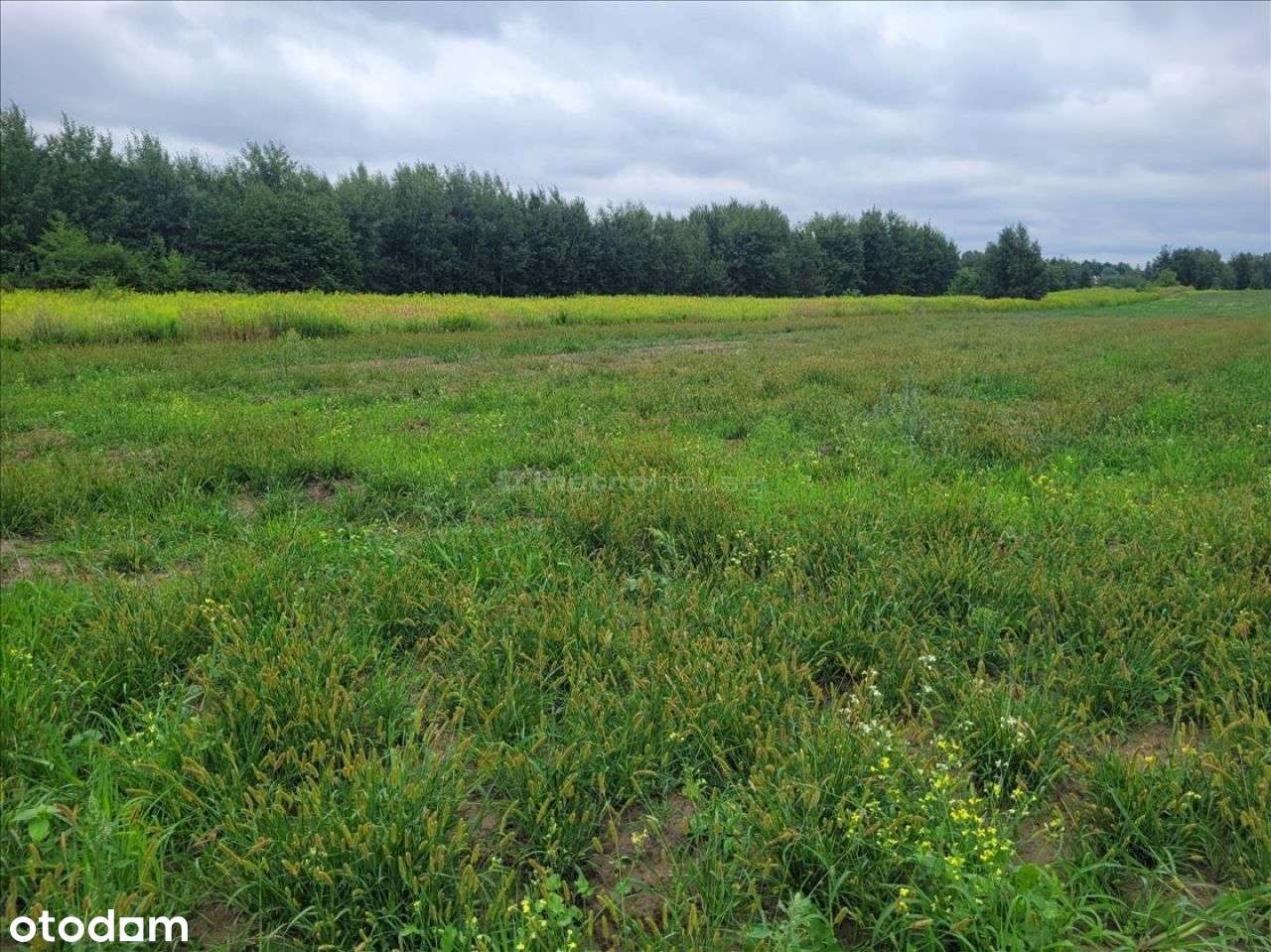 Działka budowlana Warszawa -Ursynów - Pełny obrazek: 2/11