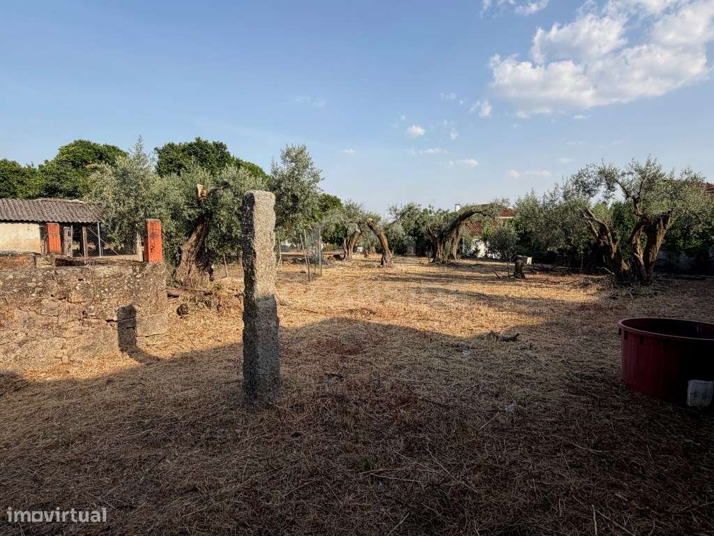 Moradia independente com 500 m2 de construção e terreno com 10.000 m2-9