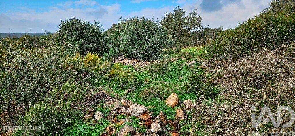 Terreno Agrícola em Bensafrim e Barão de São João - Grande imagem: 5/19