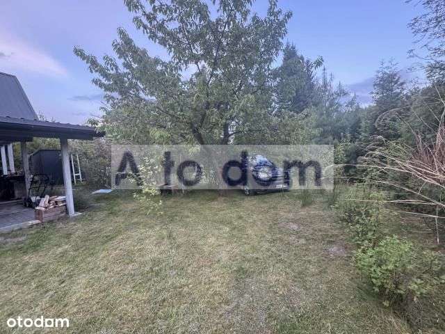 Rekreacja,10 Km Od Minska Mazowieckiego W Lesie-15