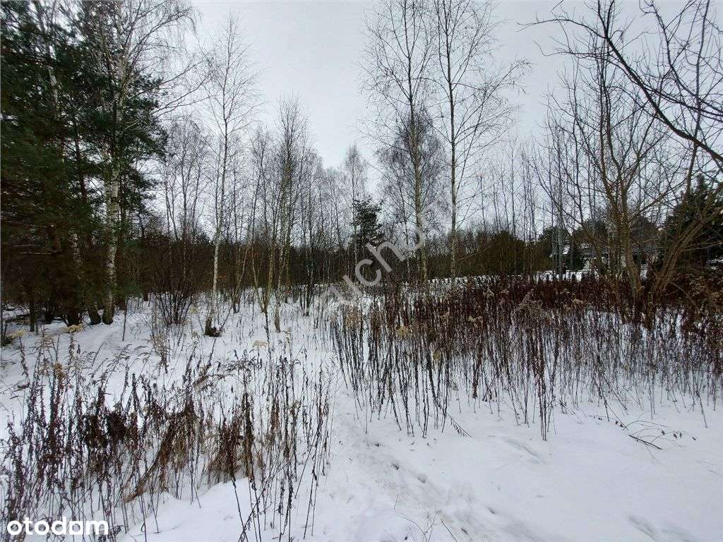 Plan Miejscowy, Wszystkie Media, Asfalt.-3