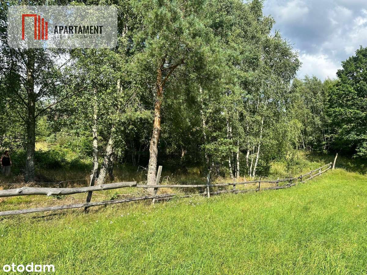 Jeleńcz–działka budowlana  13 375 m2 - Pełny obrazek: 5/9