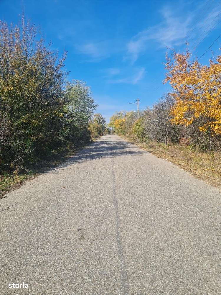 Teren intravilan Cocu Arges-2