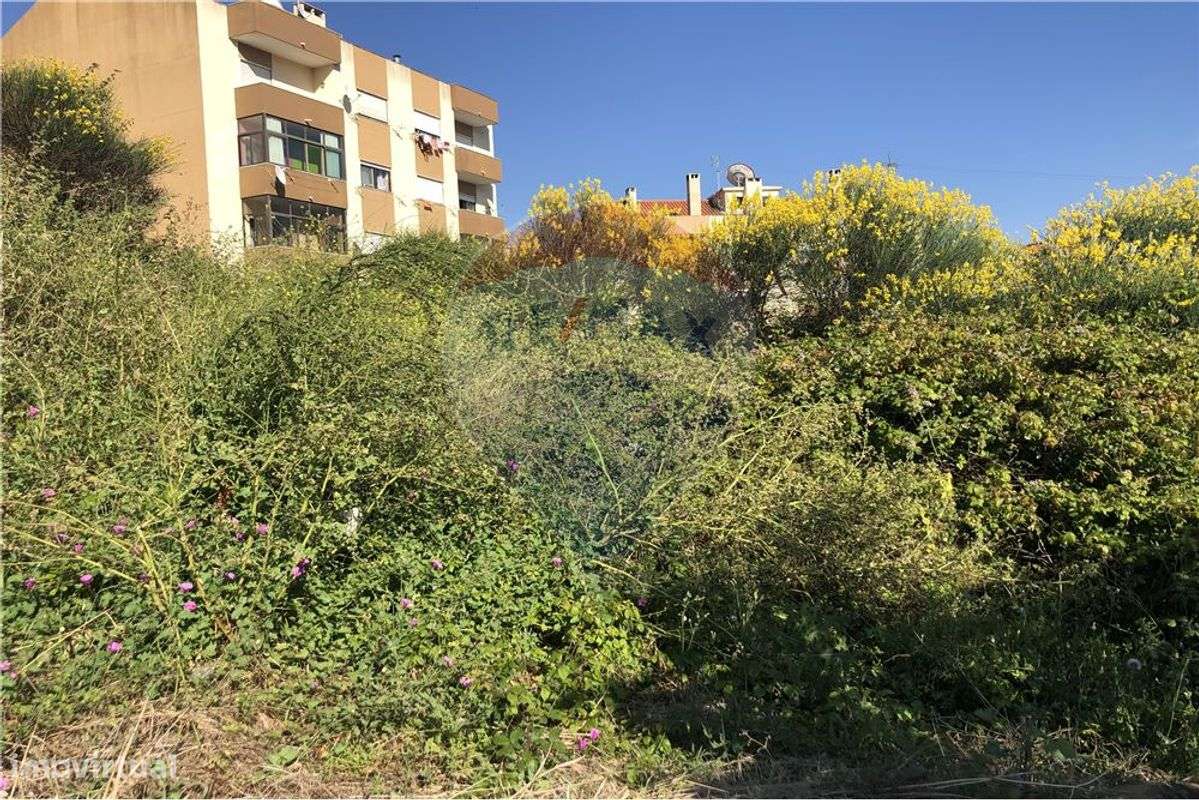 Terreno  para venda - Grande imagem: 3/7