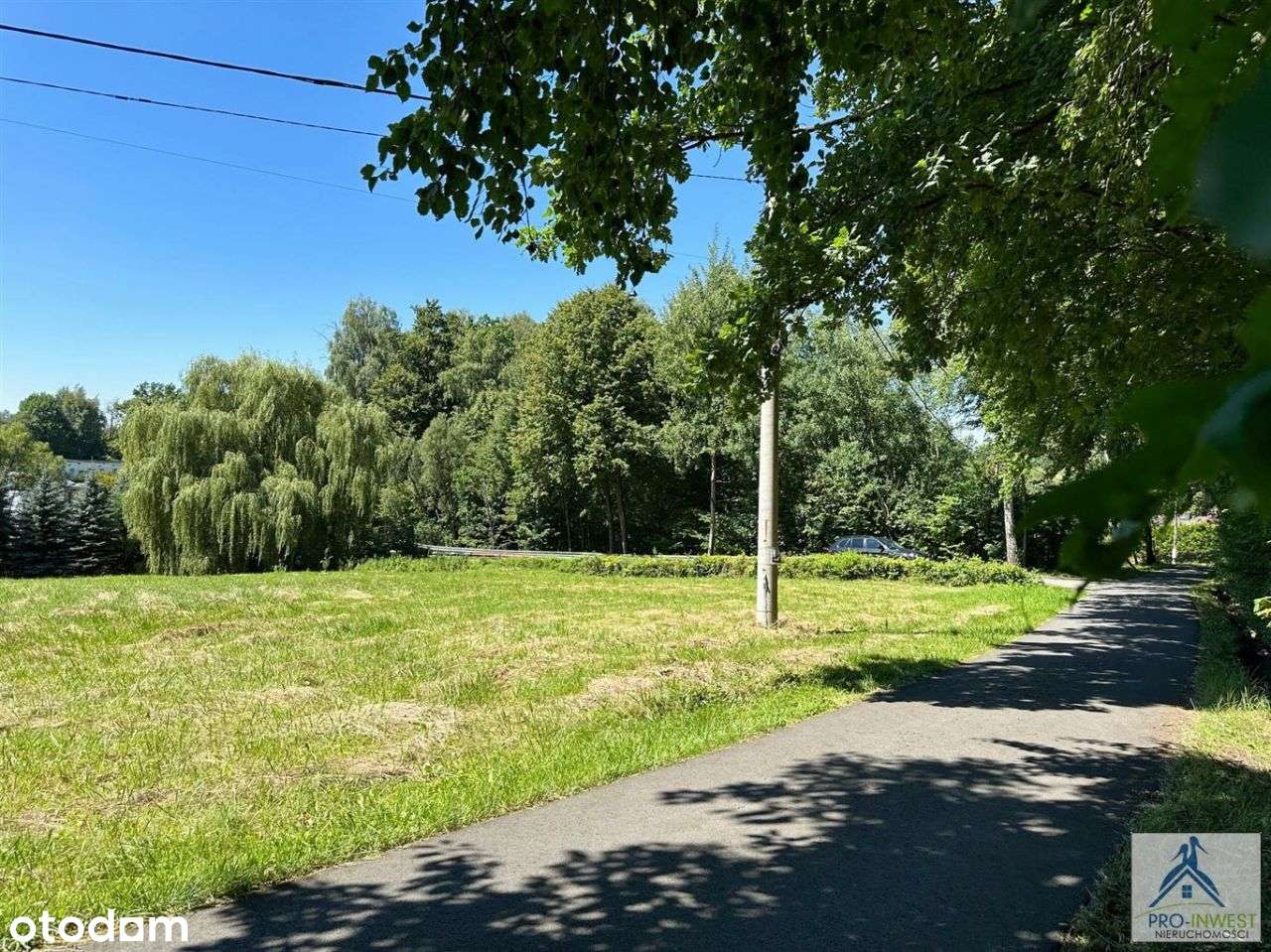 Cisza, spokój i las tuż za oknem w mieście Bielsko-14