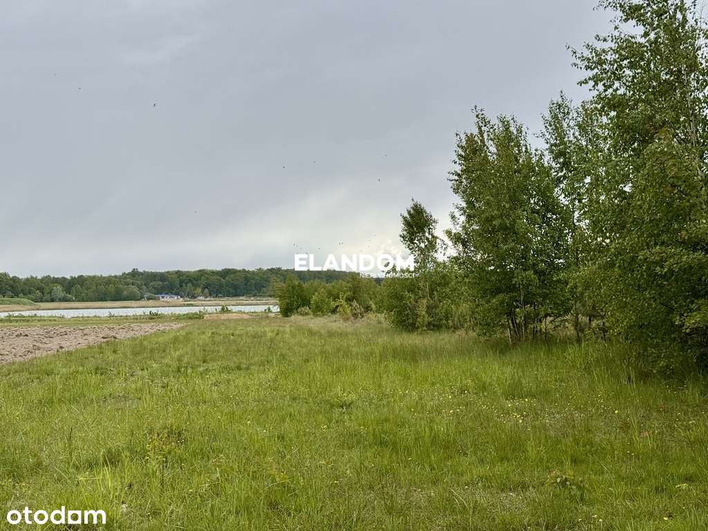 Działki, Grzegorzewice, oaza spokoju, pow. 18777m2 - Pełny obrazek: 4/6