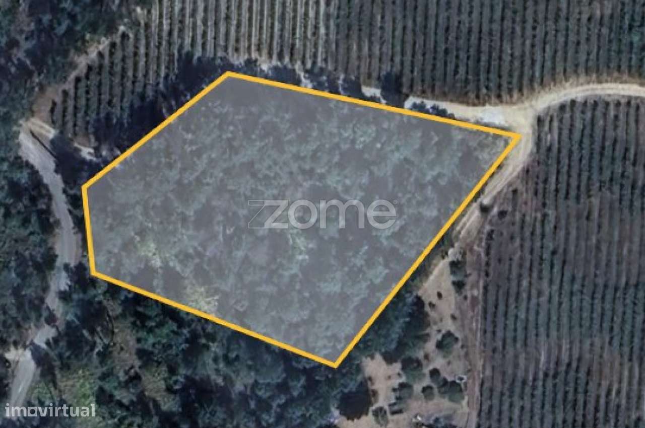 Terreno urbanizável em Povolide – 4.800 m² - Grande imagem: 4/4