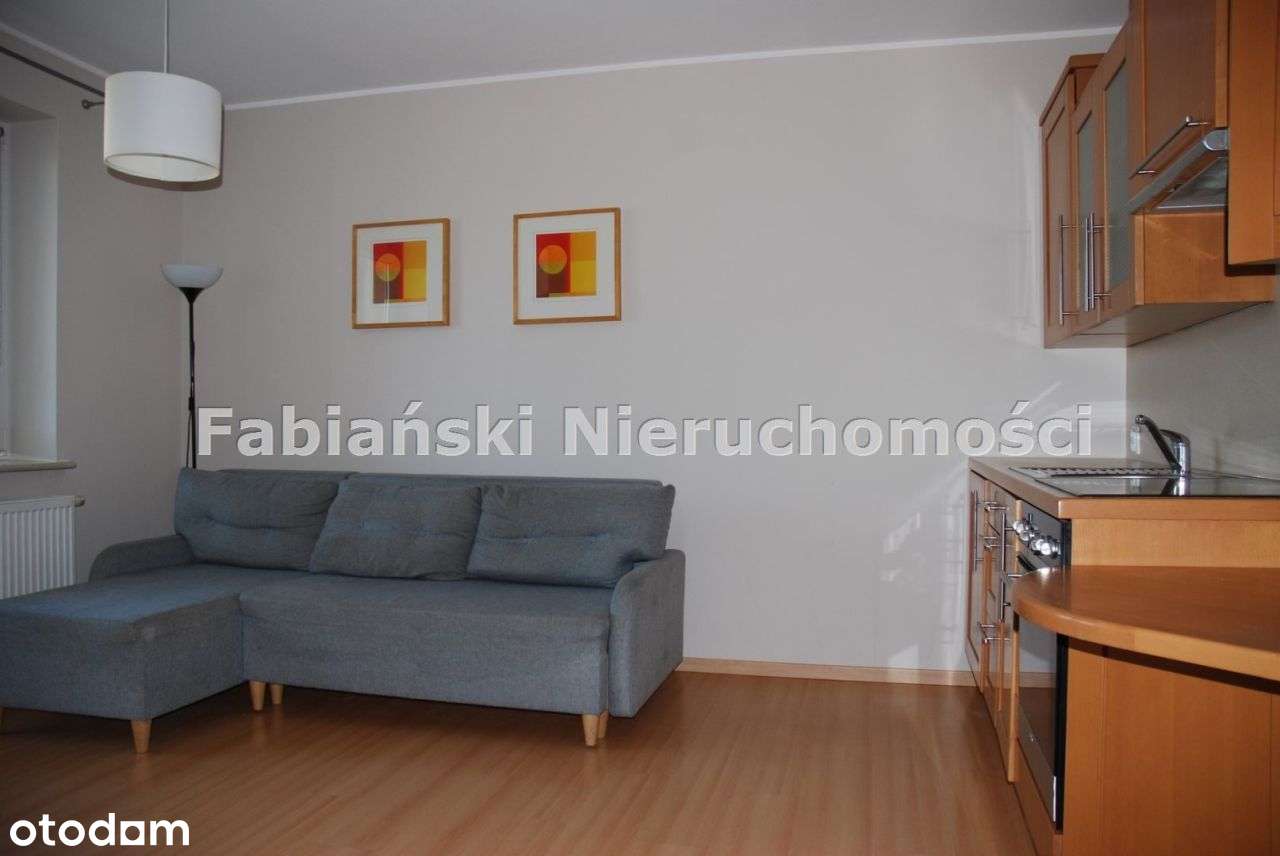 Mieszkanie, 33,10 m², Poznań - Pełny obrazek: 3/19