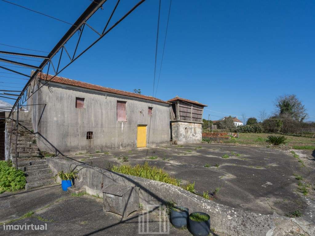 Casa antiga T4 - Souto - Grande imagem: 5/45