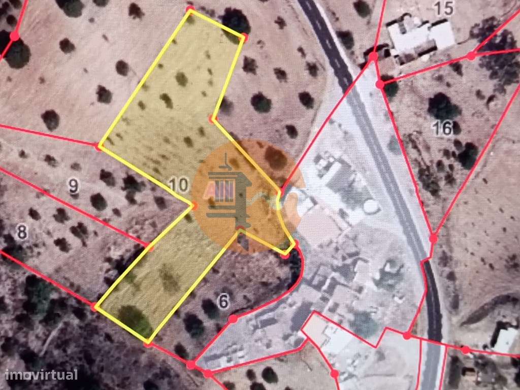 TERRENO RÚSTICO COM 2.920 M2 - ELECTRICIDADE - COM ÁRVORES - MATOS ... - Grande imagem: 2/40