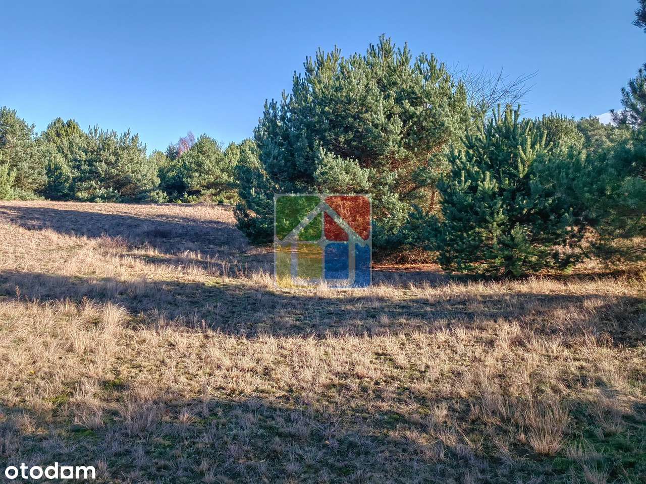 Duża działka z widokiem na jezioro-13