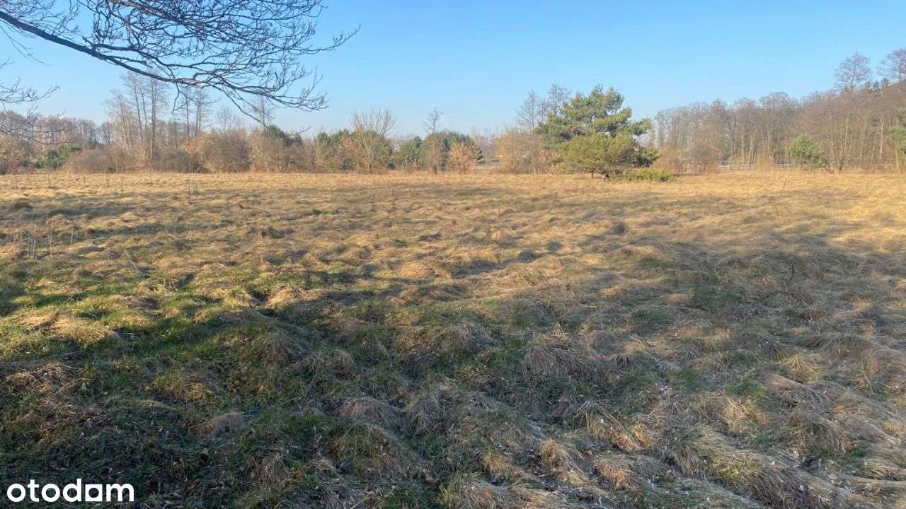 Urokliwa działka we Wsi Dobrzyniec w zakolu rzeki - Pełny obrazek: 5/20