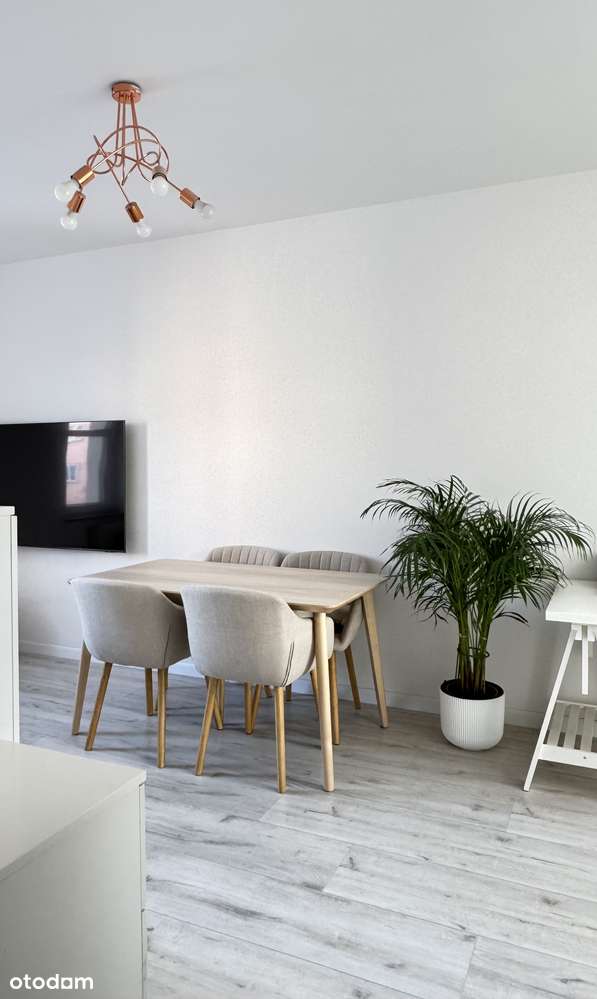 Zadbane, idealna lokalizacja przy UMK, bez wkładu - Pełny obrazek: 5/10