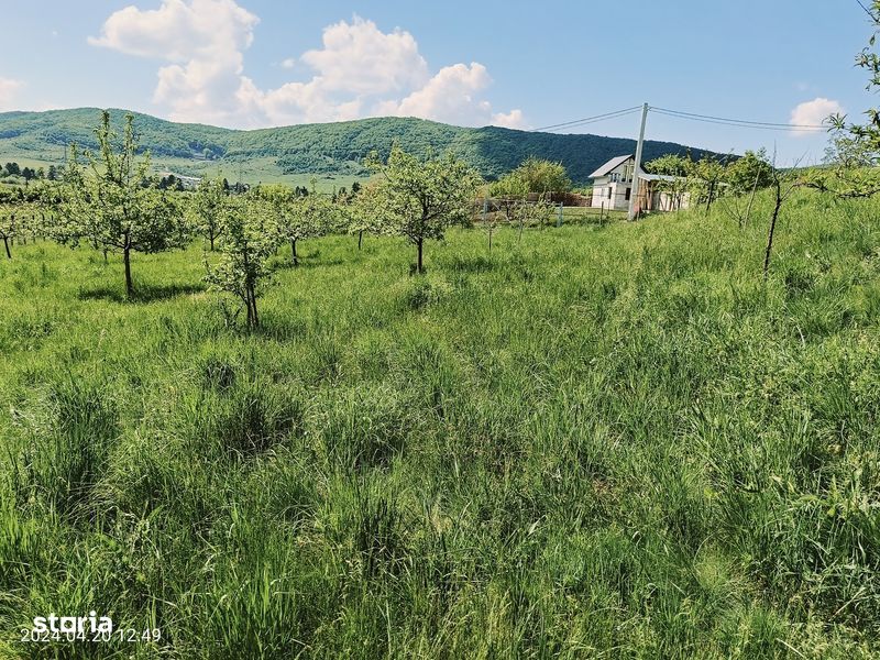 Teren intravilan 27 ari intrare Crainimat, la 10km de Bistrita