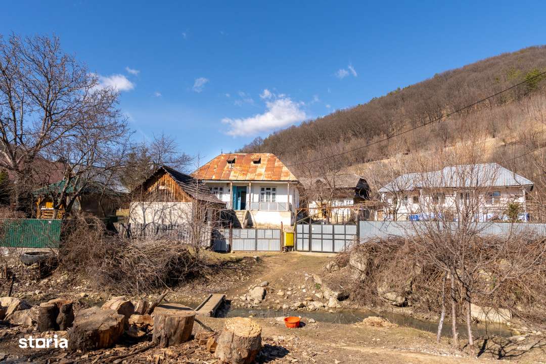 Ai plecat din Solont, dar terenul asta de 1737mp te cheama inapoi-0