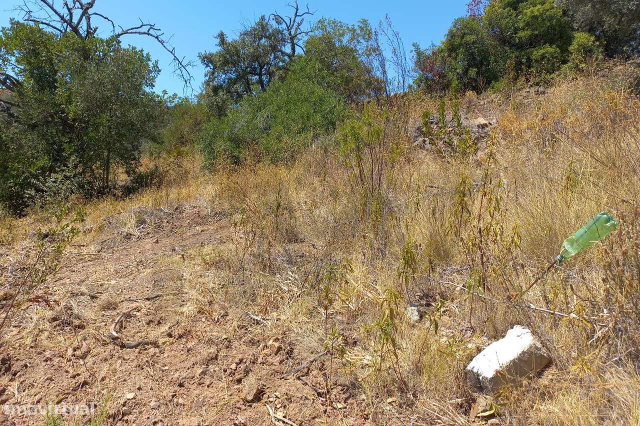 Terreno rústico em Corte do Peso - Tavira - Grande imagem: 4/8