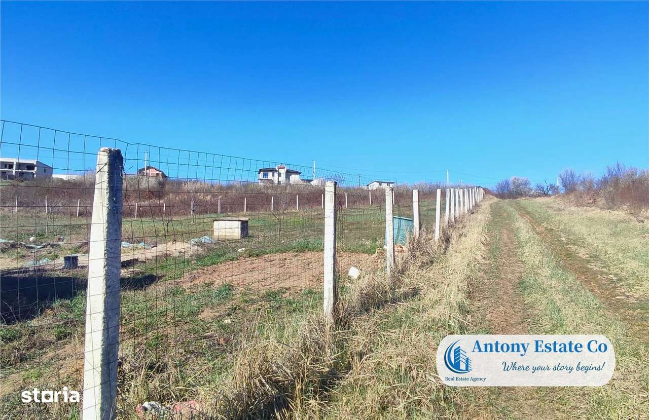 Teren intravilan de vanzare - Zona Saldabagiu De Munte, Bihor - Imagine principală: 5/6