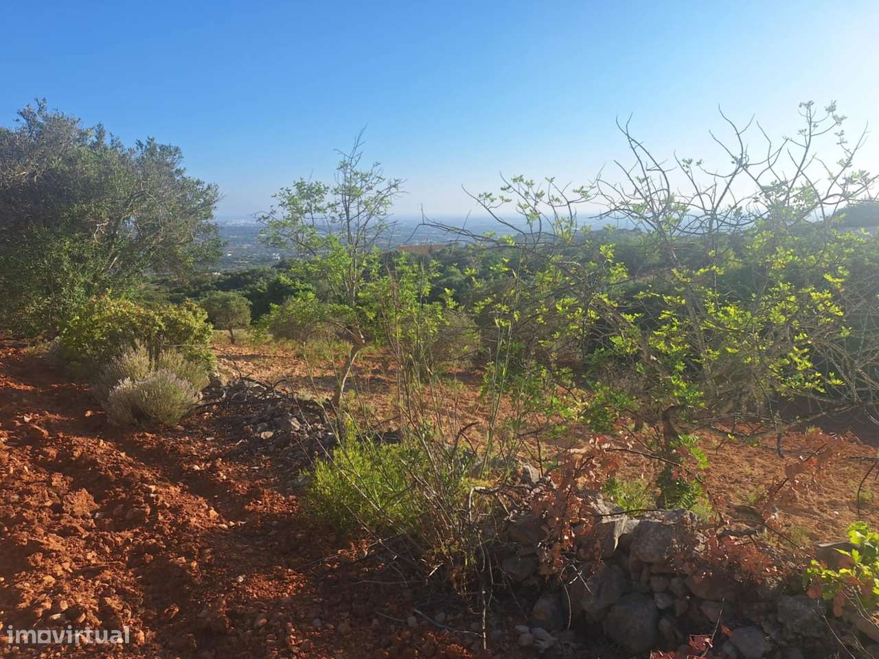 Terreno Rústico a 10km de Estoi-21