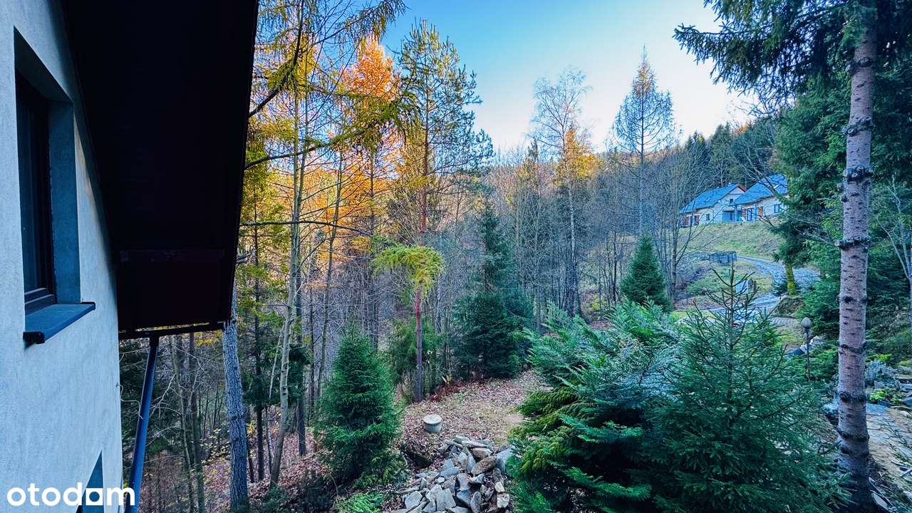 Dom z muminkową wieżą 330m2 wkoło las blisko rzeka BRENNA CENTRUM-6