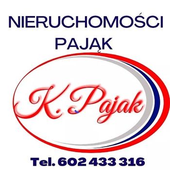 NIERUCHOMOSCI PAJĄK Logo