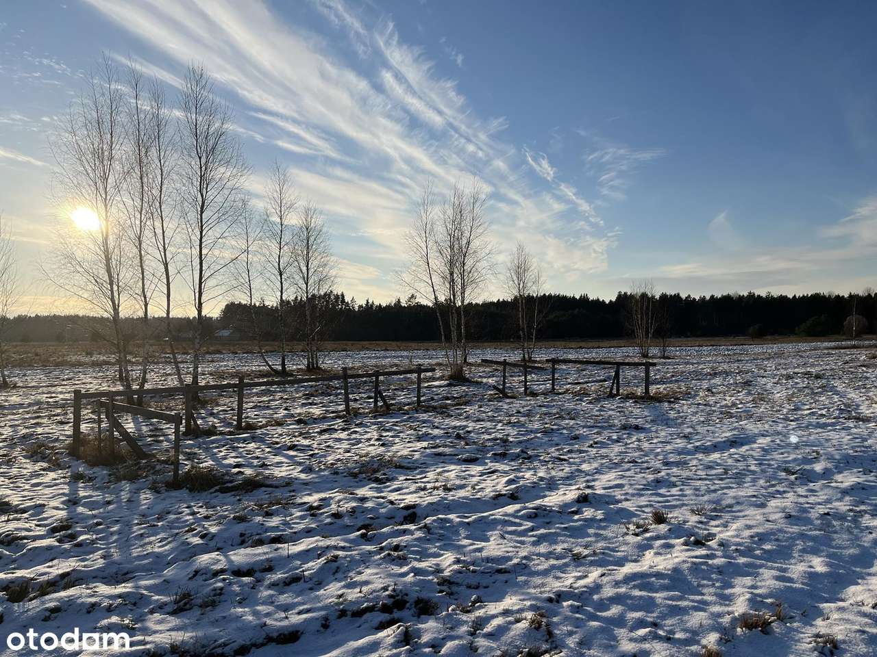 ELIASZUKI Dz o pow 4,4310 ha z własnym Puszczańskim Lasem BEZ SASIADÓW-10