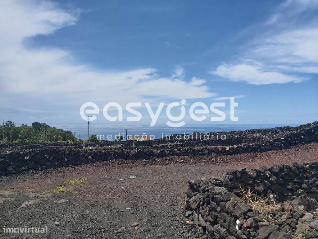 Terreno com vista o mar e montanha, em zona de vinha na ilha do Pico - Grande imagem: 2/16
