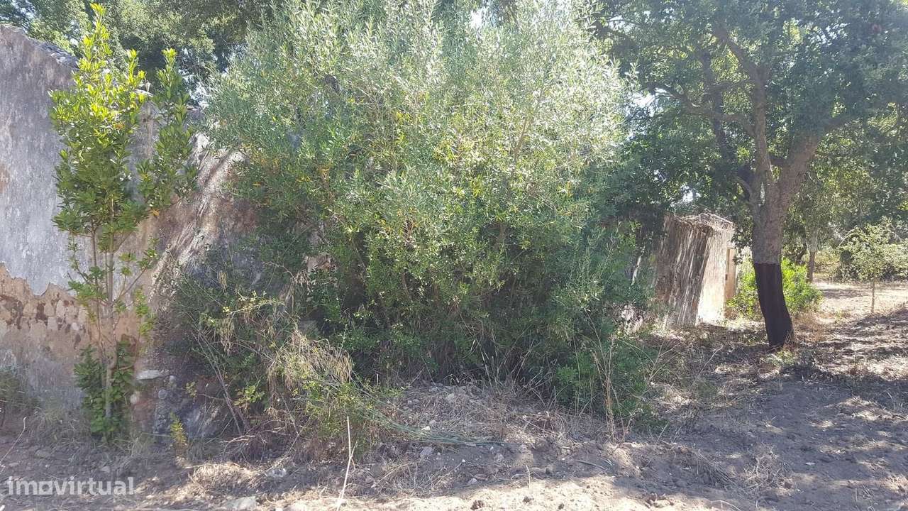 Terreno Misto 4.3 ha, Santa Cruz, Santiago do Cacem - Grande imagem: 5/26
