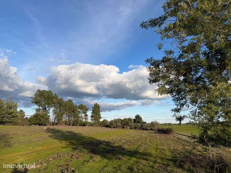 OPORTUNIDADE - Vende-se terreno agrícola