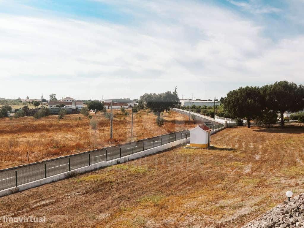 Quinta T5 na Branca-44