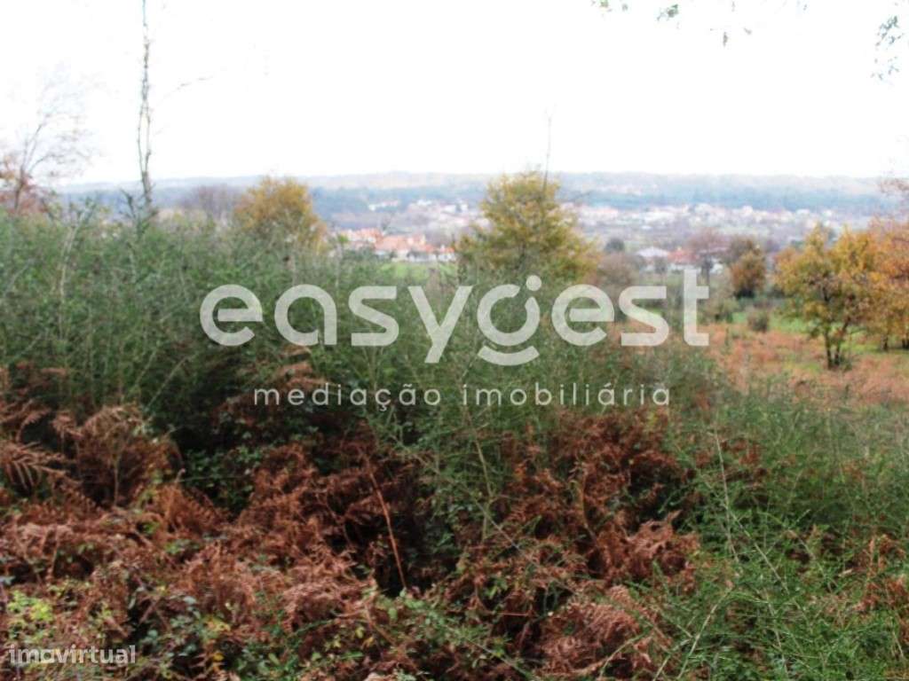 Moradia para Recuperação em Campo de Besteiros - Grande imagem: 5/7