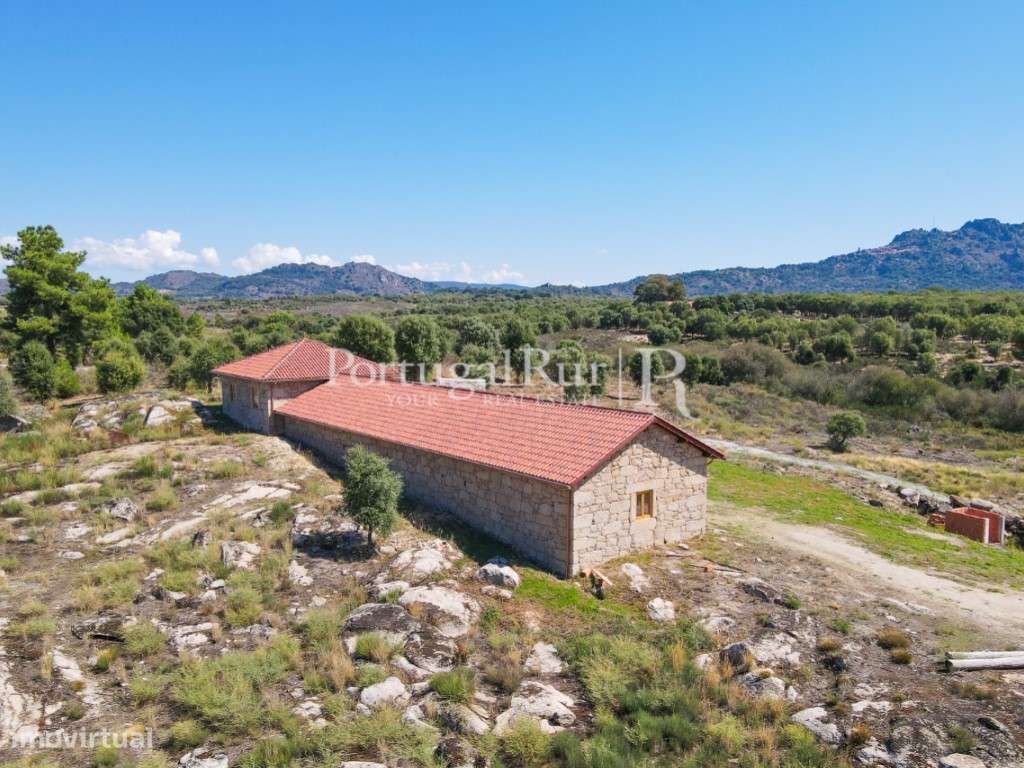 Quinta com casa em recuperação em Monsanto - Grande imagem: 4/41