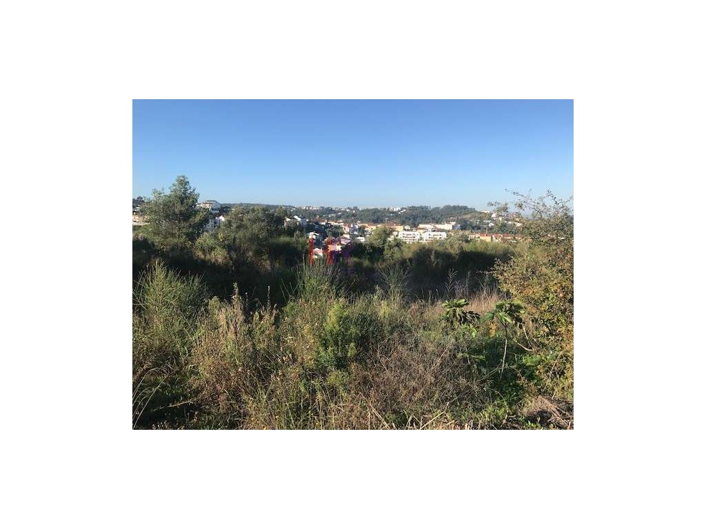 Alqueves-Terreno para construção com 5000m2 - Grande imagem: 3/10