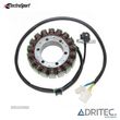 STATOR SUZUKI TL 1000 R (1998-2003) TL 1000 S (1997-2001) ELECTROSPORT - 1