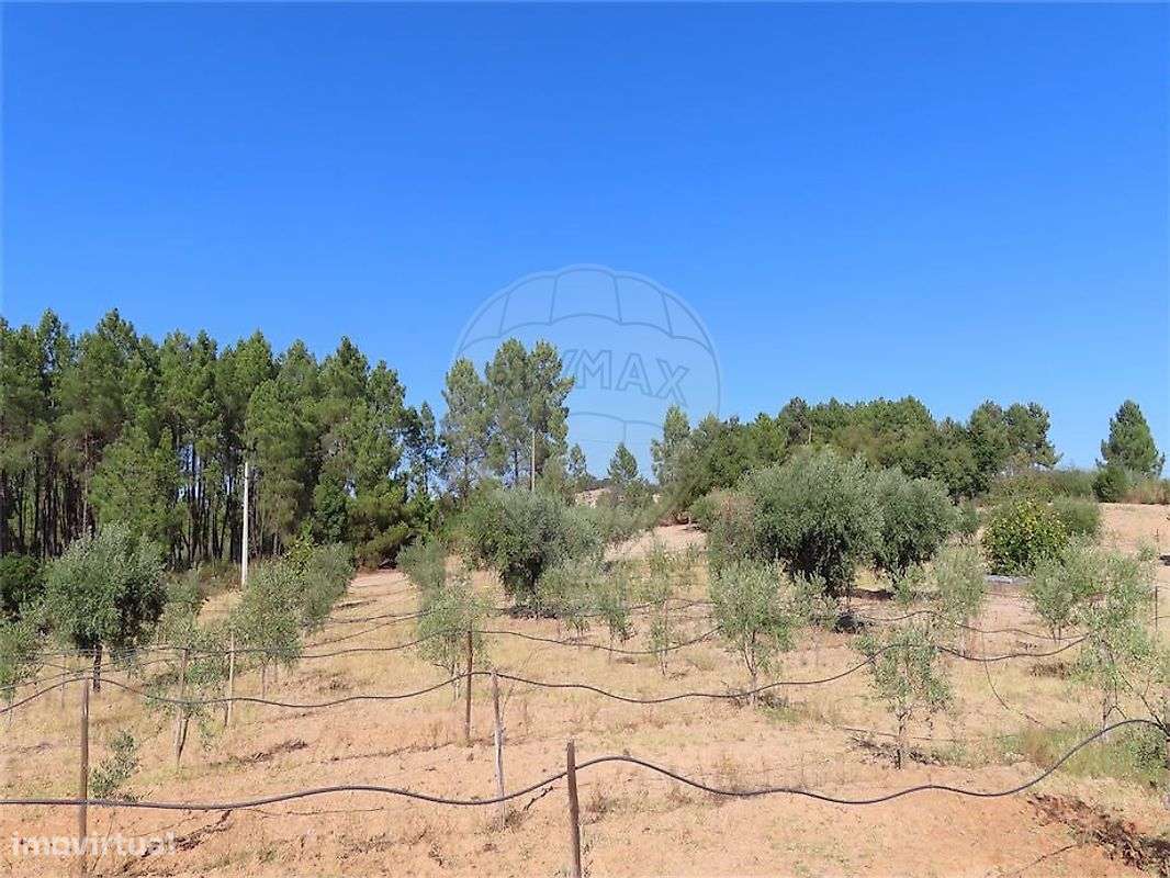 Moradia T3 para venda-39