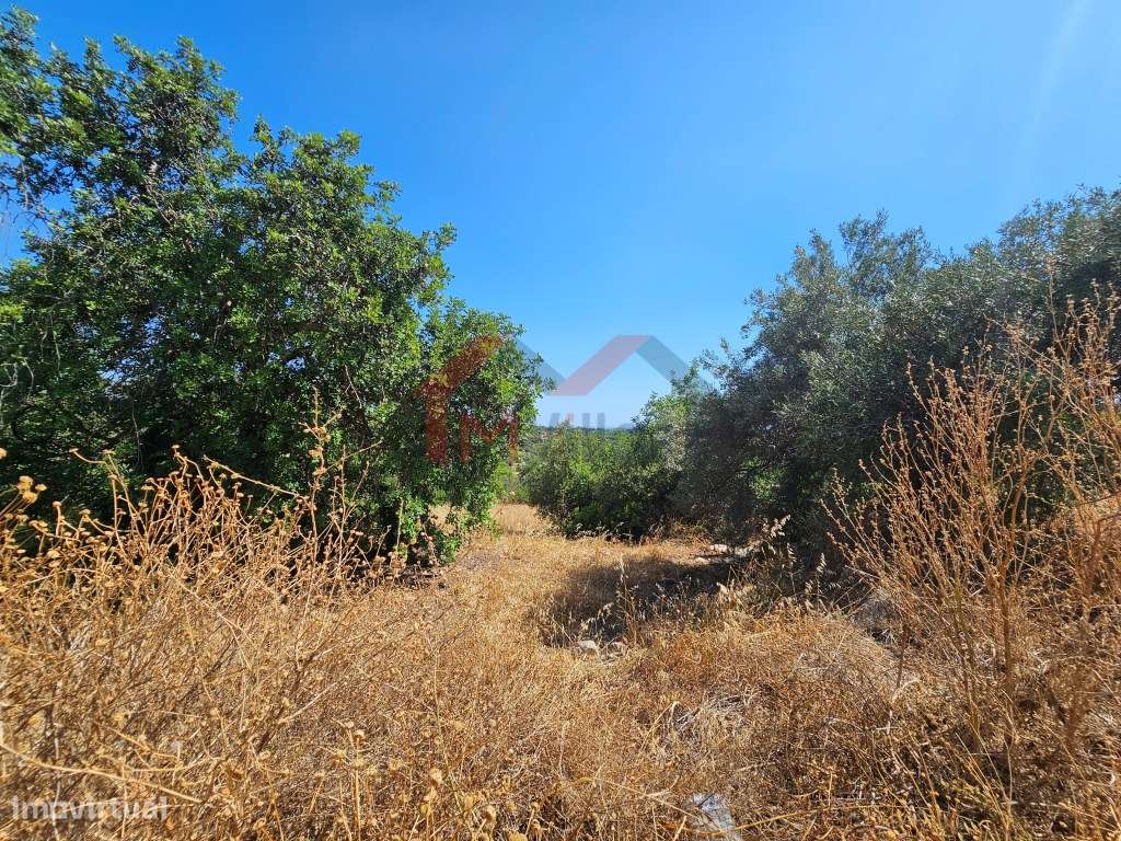 Moradia tradicional V5 para recuperar com terreno de 31.000 m2 - Loulé-6