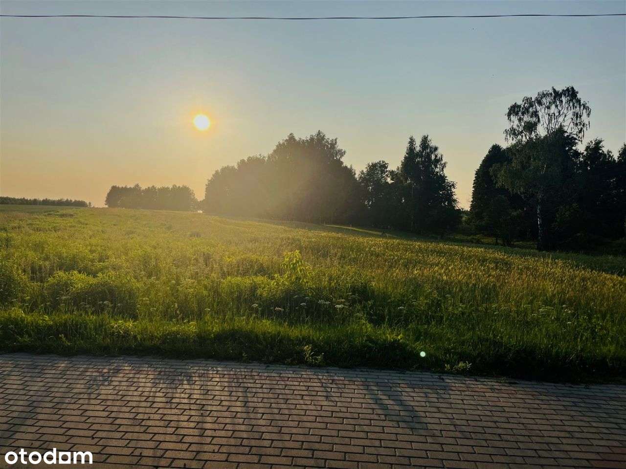 Działka, 3 797 m², Leśniaki - Pełny obrazek: 2/6