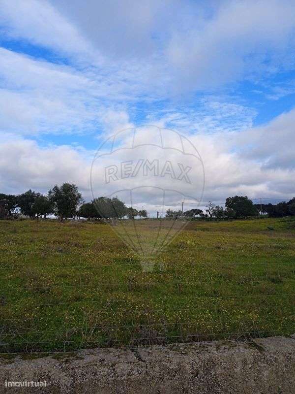 Terreno  para venda - Grande imagem: 3/4