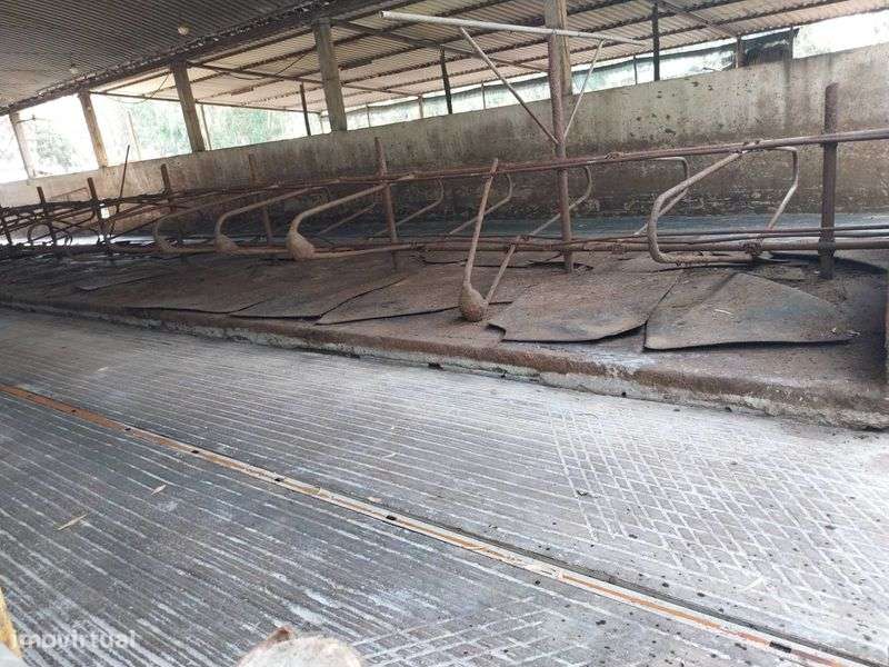 Vacaria, instalações e terreno, máquinas - Grande imagem: 4/9