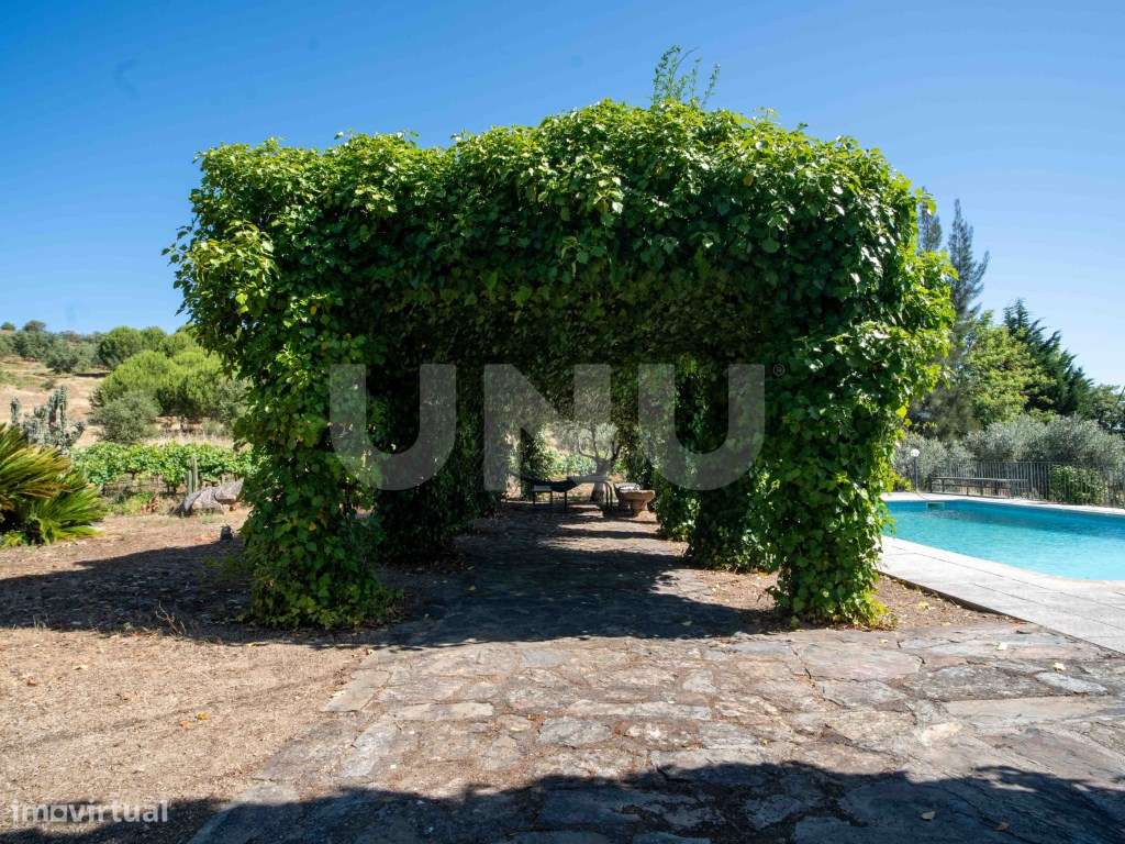 Herdade com 34 Hectares-5