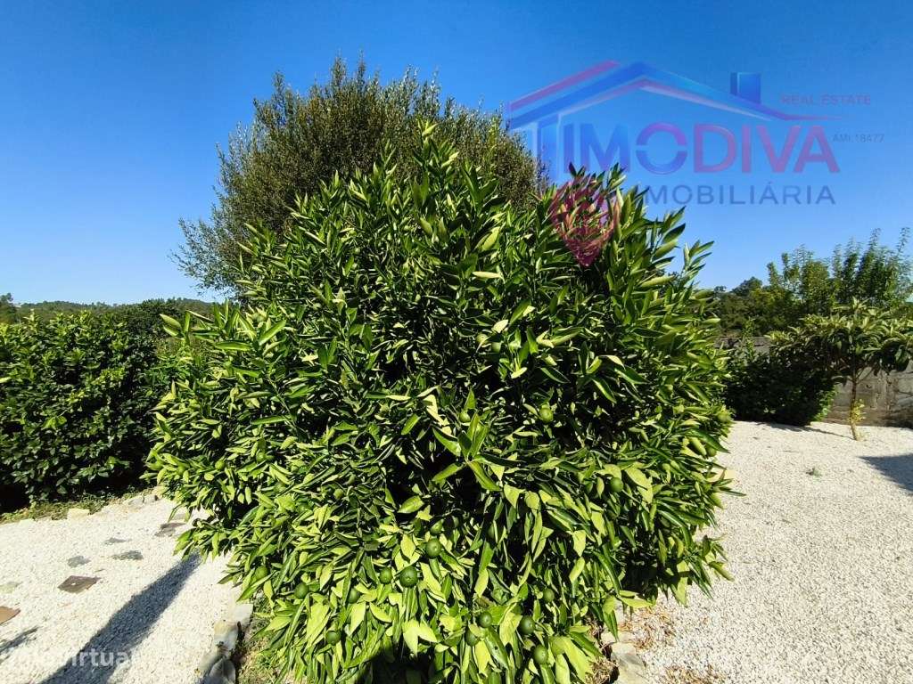Moradia T3 recentemente renovada, com jardim em Graça, Pedrogão Grande-57