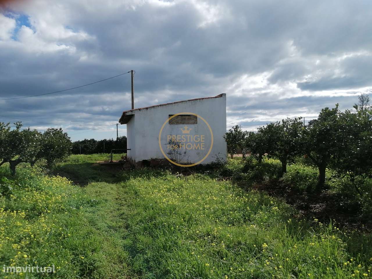Terreno  vedado, totalmente plano proximo do Triangulo Dourado com agu - Grande imagem: 2/18