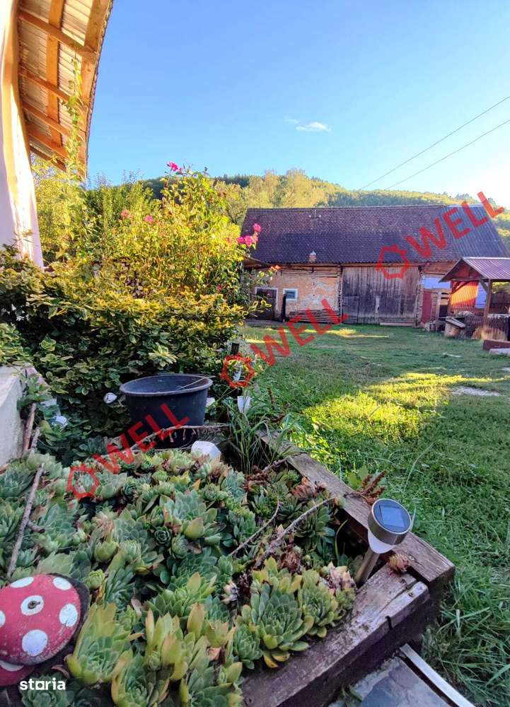 Proprietate deosebită de vânzare în Valea Zălanului!-15