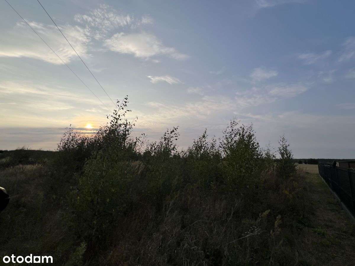 Działka, 881 m², Potrzanowo - Pełny obrazek: 5/5