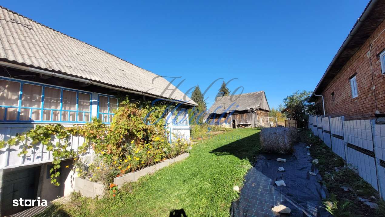 Teren intavilan, 4800 mp, front la strada, utilitati, Rasca - Imagine principală: 3/11