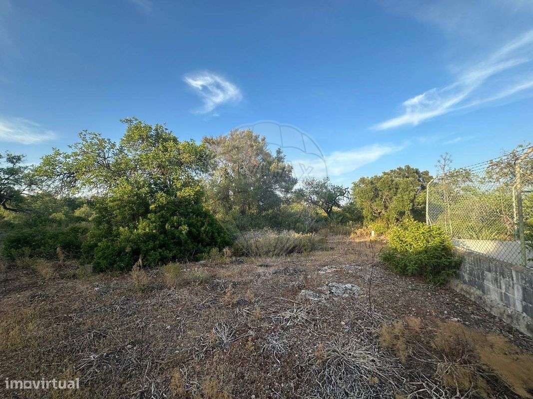 Terreno  para venda - Grande imagem: 4/15